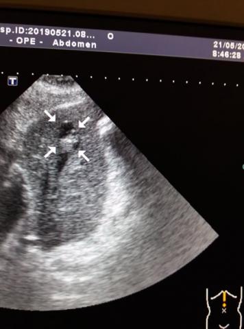 Приватний кабінет ультразвукової діагностики (УЗД) №113, №224